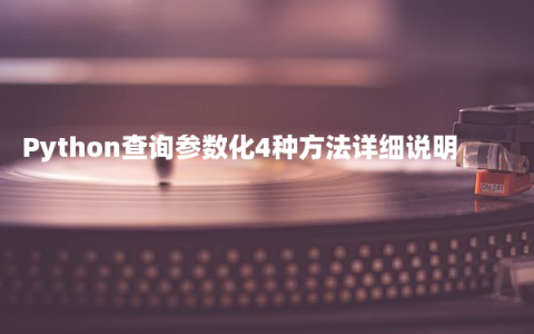 Python查询参数化4种方法详细说明