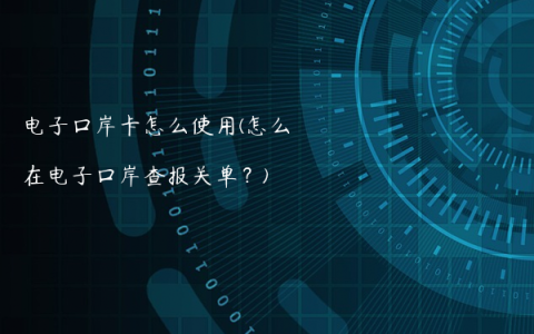 电子口岸卡怎么使用(怎么在电子口岸查报关单？)