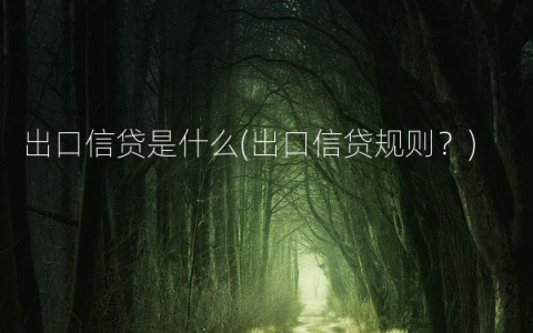 出口信贷是什么(出口信贷规则？)