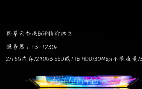野草云香港BGP特价独立服务器：E3-1230v2/16G内存/240GB SSD或1TB HDD/30Mbps不限流量/3个IPv4/299元/月