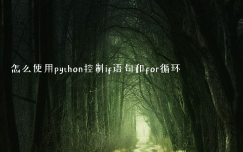 怎么使用python控制if语句和for循环