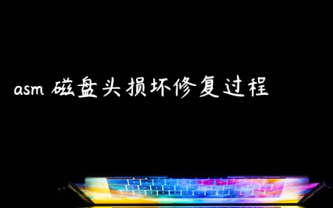 asm 磁盘头损坏修复过程